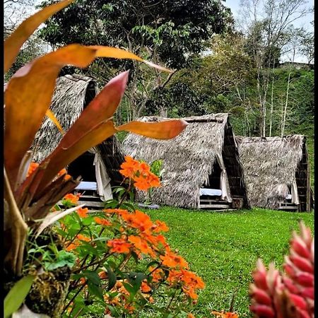 Rancho Porvenir Bed & Breakfast Mocoa Exterior photo
